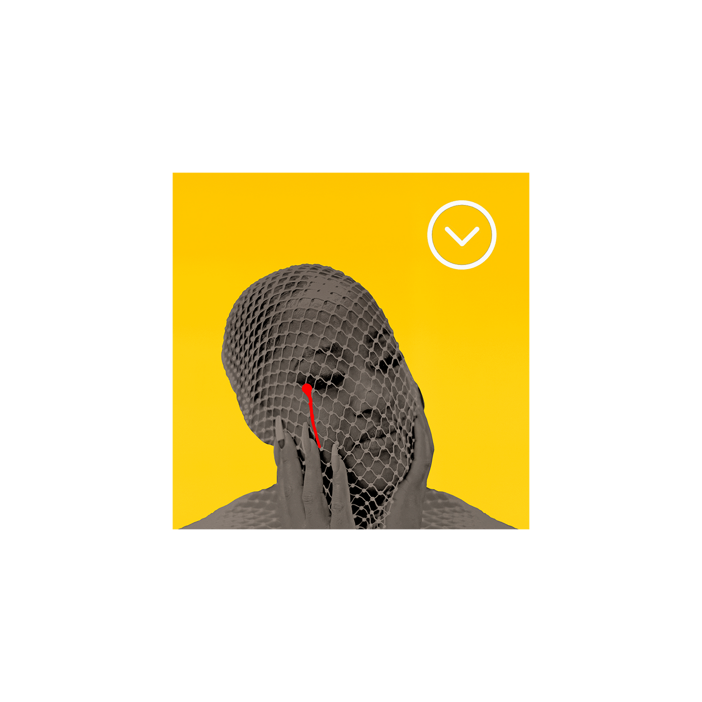 Please Don't Cry - Digital Album